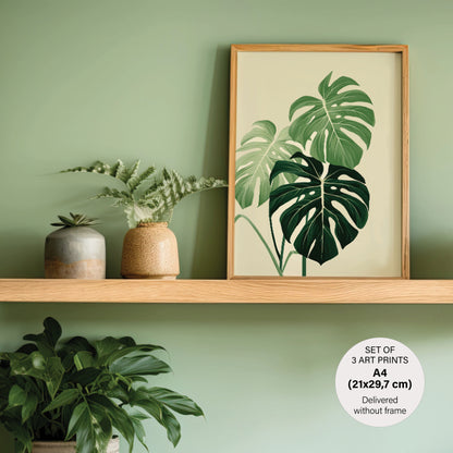 Gallery Wall - Scandinavian Botanical Set -Sophistication to your home